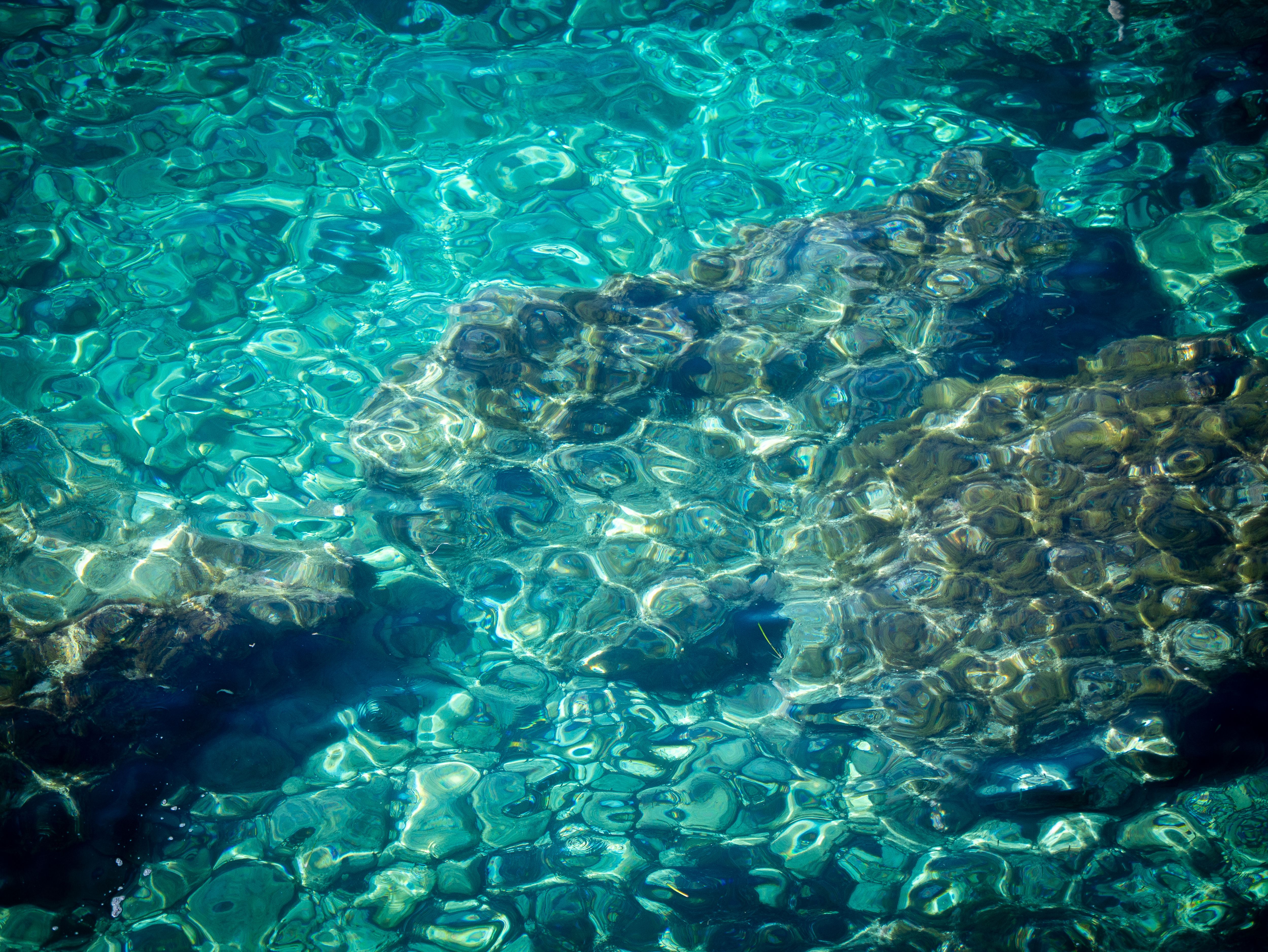 Vivid underwater scene showcasing crystal-clear water reflecting sunlight over coral reefs.