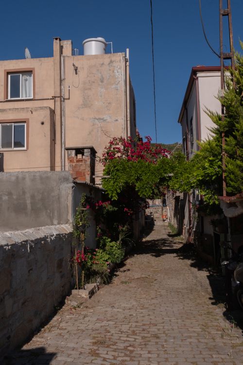 Free Explore the rustic charm of a cobblestone alley in Foça, İzmir, adorned with lush bougainvillea. Stock Photo