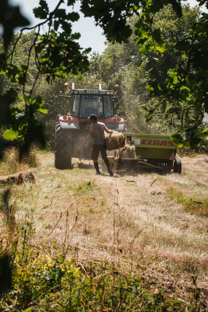 Tracteur pressant le foin en balles dans un champ
