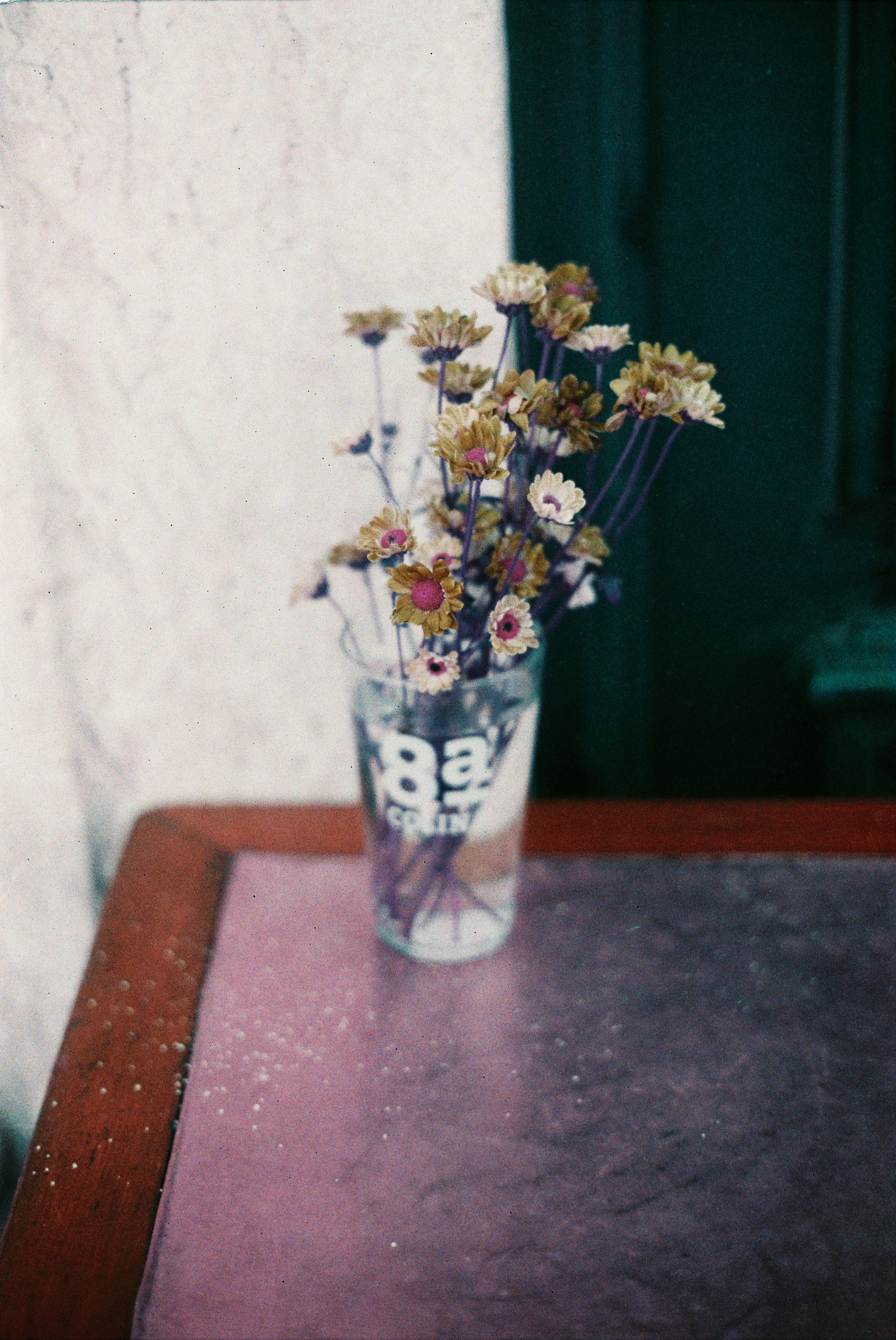[ColoSach]-a-vintage-style-photo-of-wildflowers-in-a-glass-on-a-textured-surface-in-lisbon.