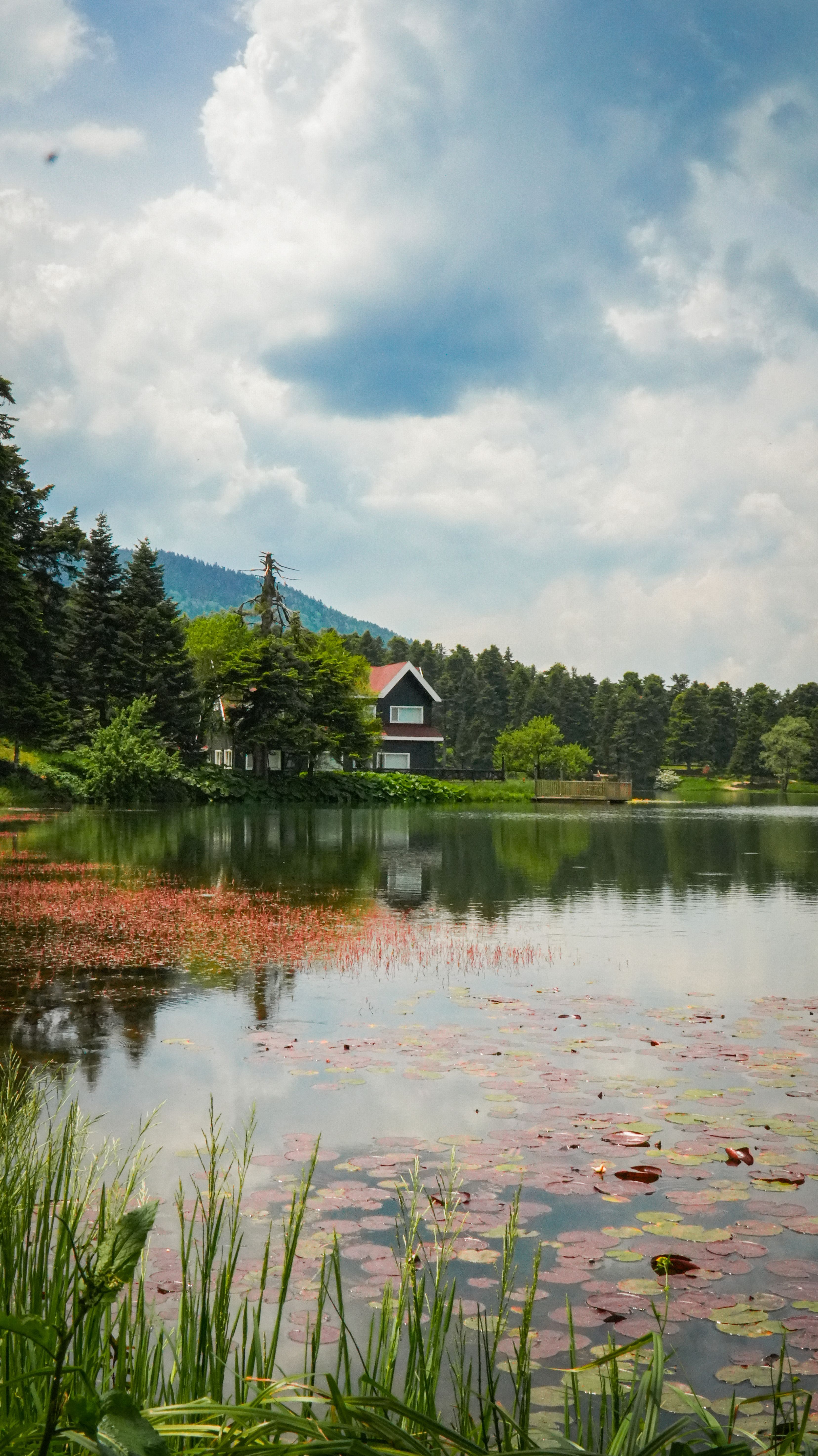 Picturesque lake house surrounded by nature in Bolu, Türkiye on a bright summer day.