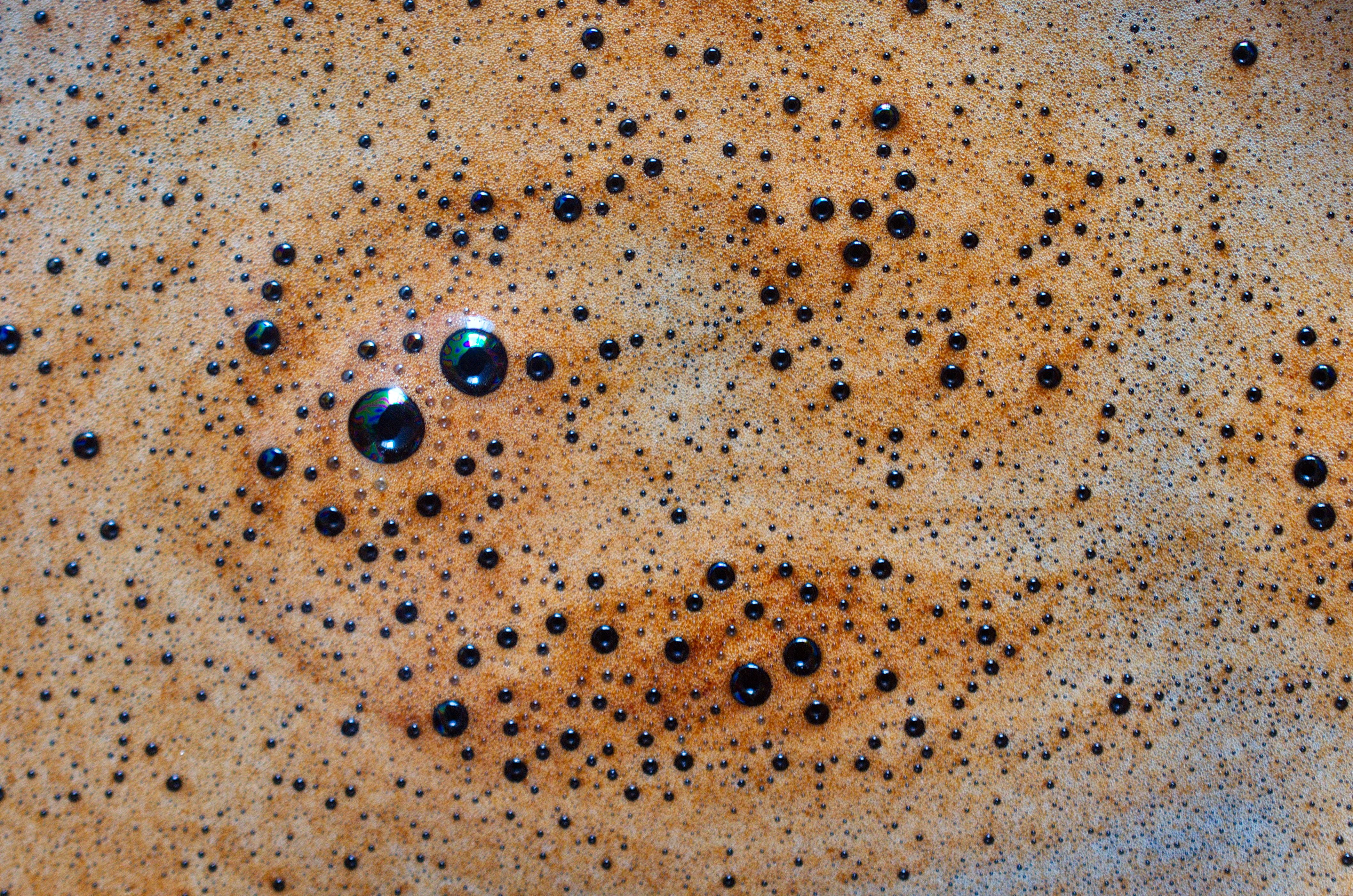 Detailed view of coffee foam with bubbles, highlighting texture and pattern. Perfect for coffee enthusiasts.