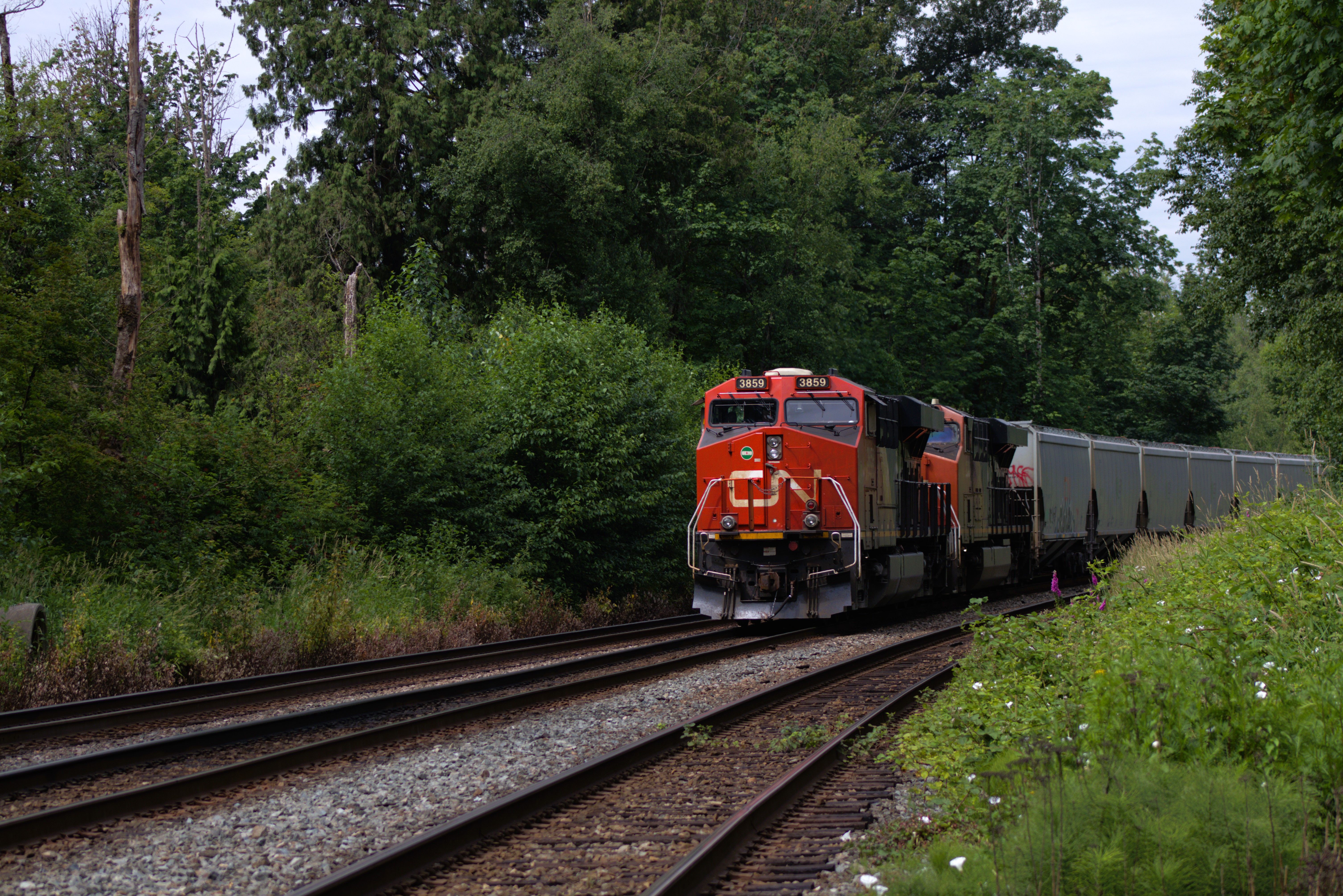 How to Buy Train Tickets Canada: Your Ultimate Guide