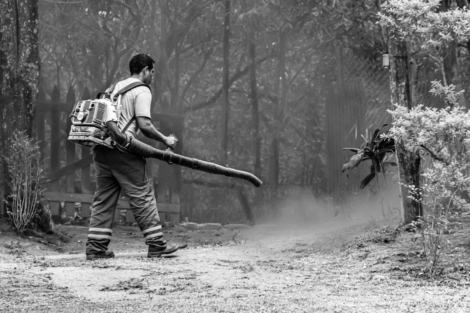 Best backpack leaf blower for wet oak leaves — cover media