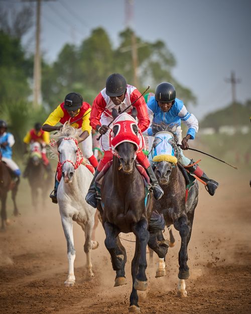 Free Dynamic scene of jockeys riding horses in a thrilling race on a dirt track. Stock Photo