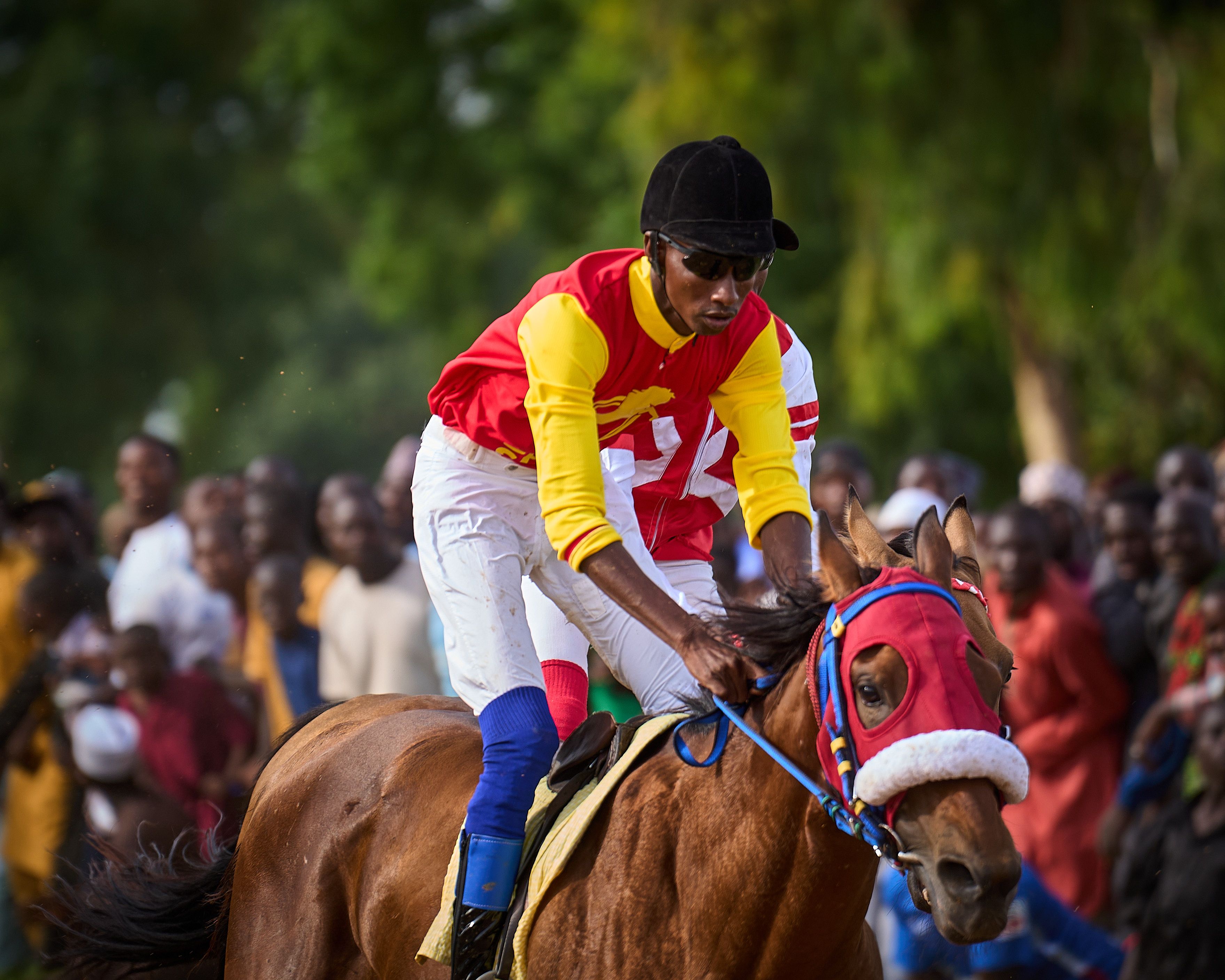 Jockey in colorful attire races horse in thrilling competition with vibrant audience.