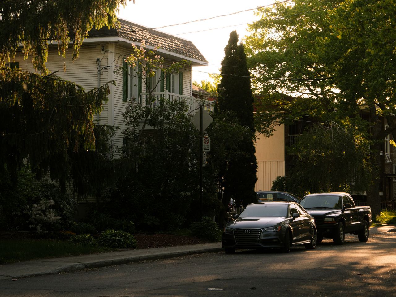 serene suburban street in montreal with parked cars and trees at sunse