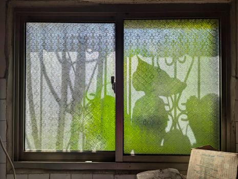Sunlight filters through a decorative window featuring intricate patterns and green leaf silhouettes, creating a serene indoor ambiance in Taiwan.