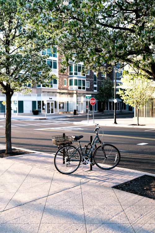 Free Bicycle parked under blossoming trees in New York City, capturing a peaceful spring morning. Stock Photo