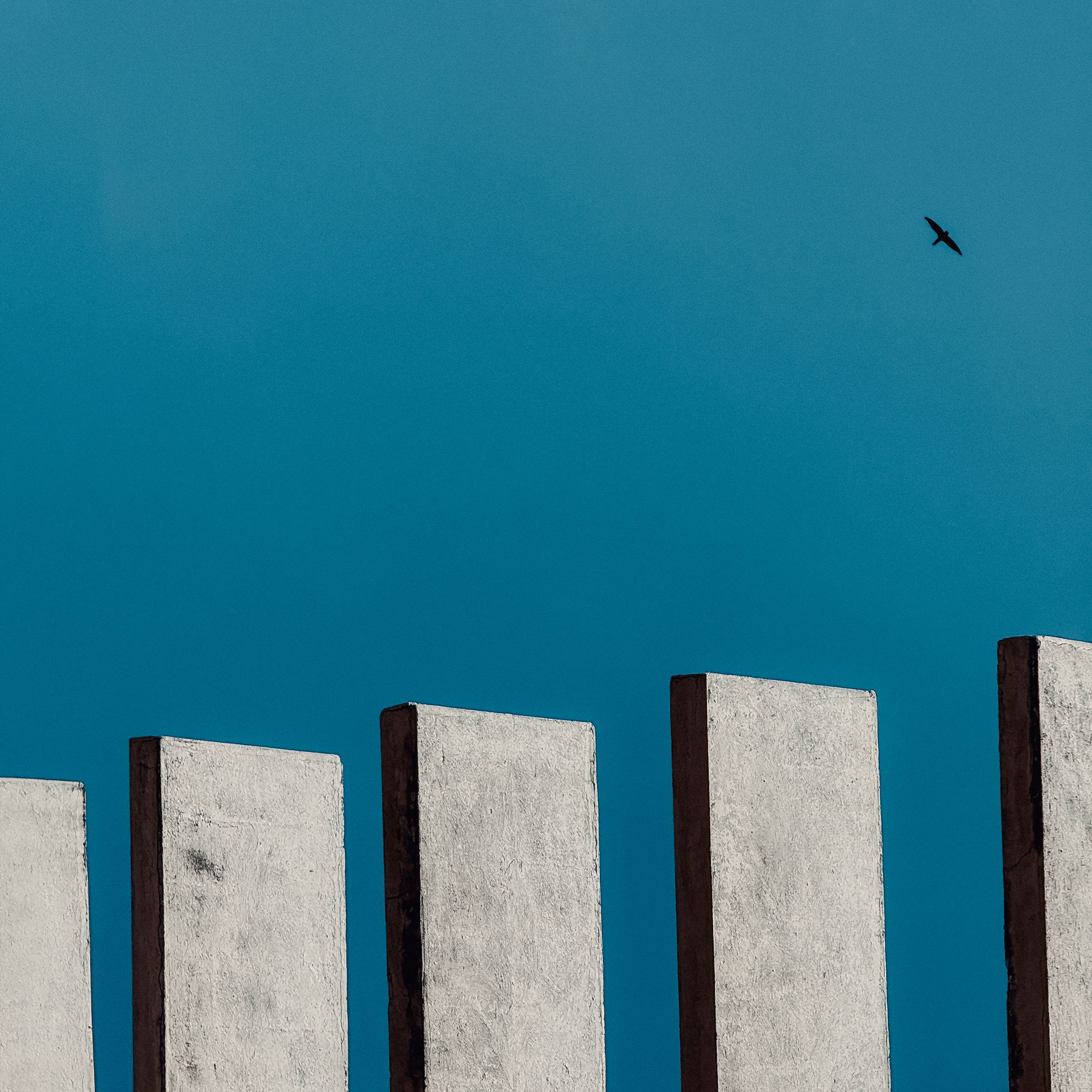 Abstract photo of concrete pillars with a single bird soaring against a clear blue sky.