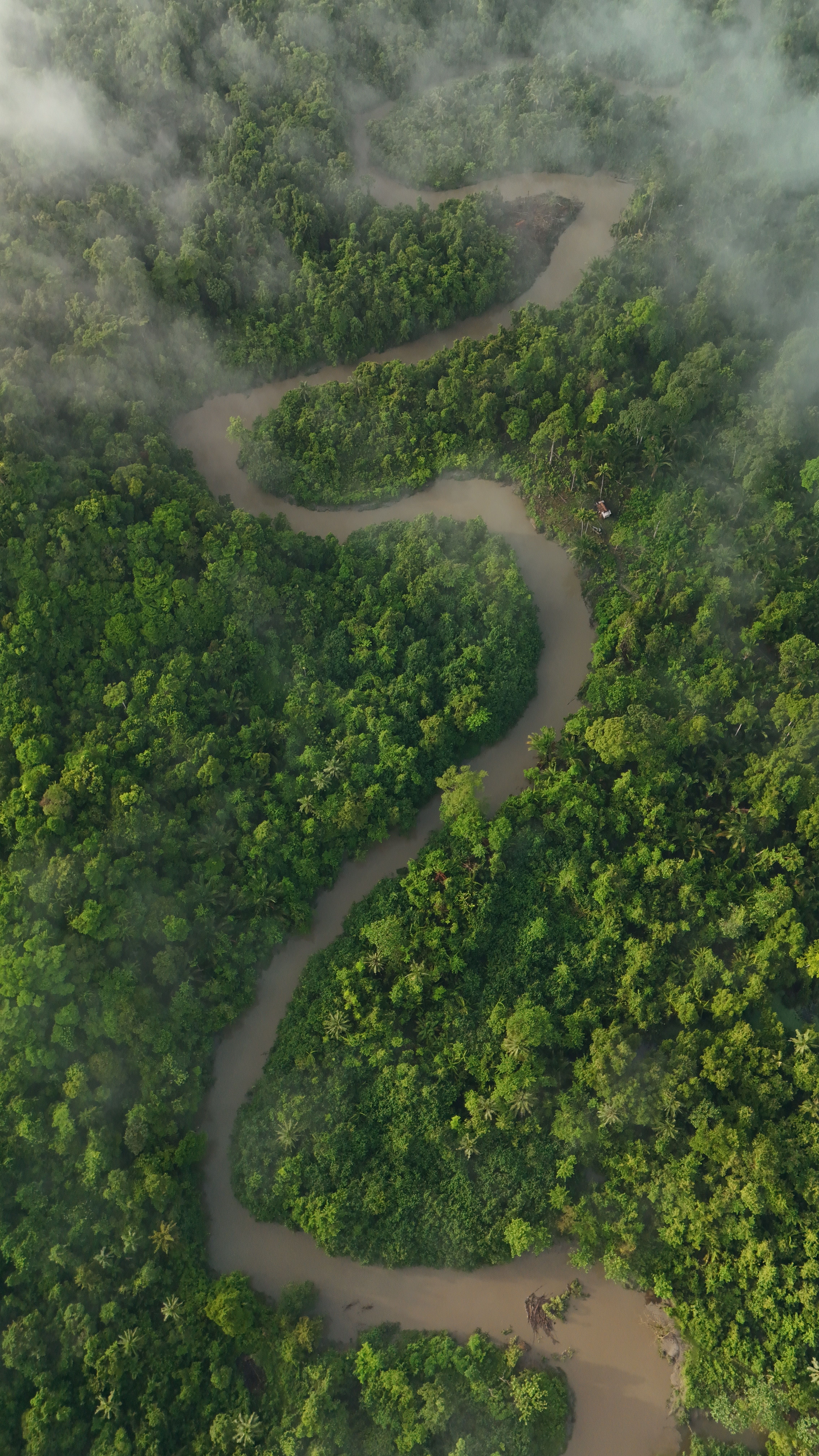 Tropics Face 3 Million Years of Change in Decades