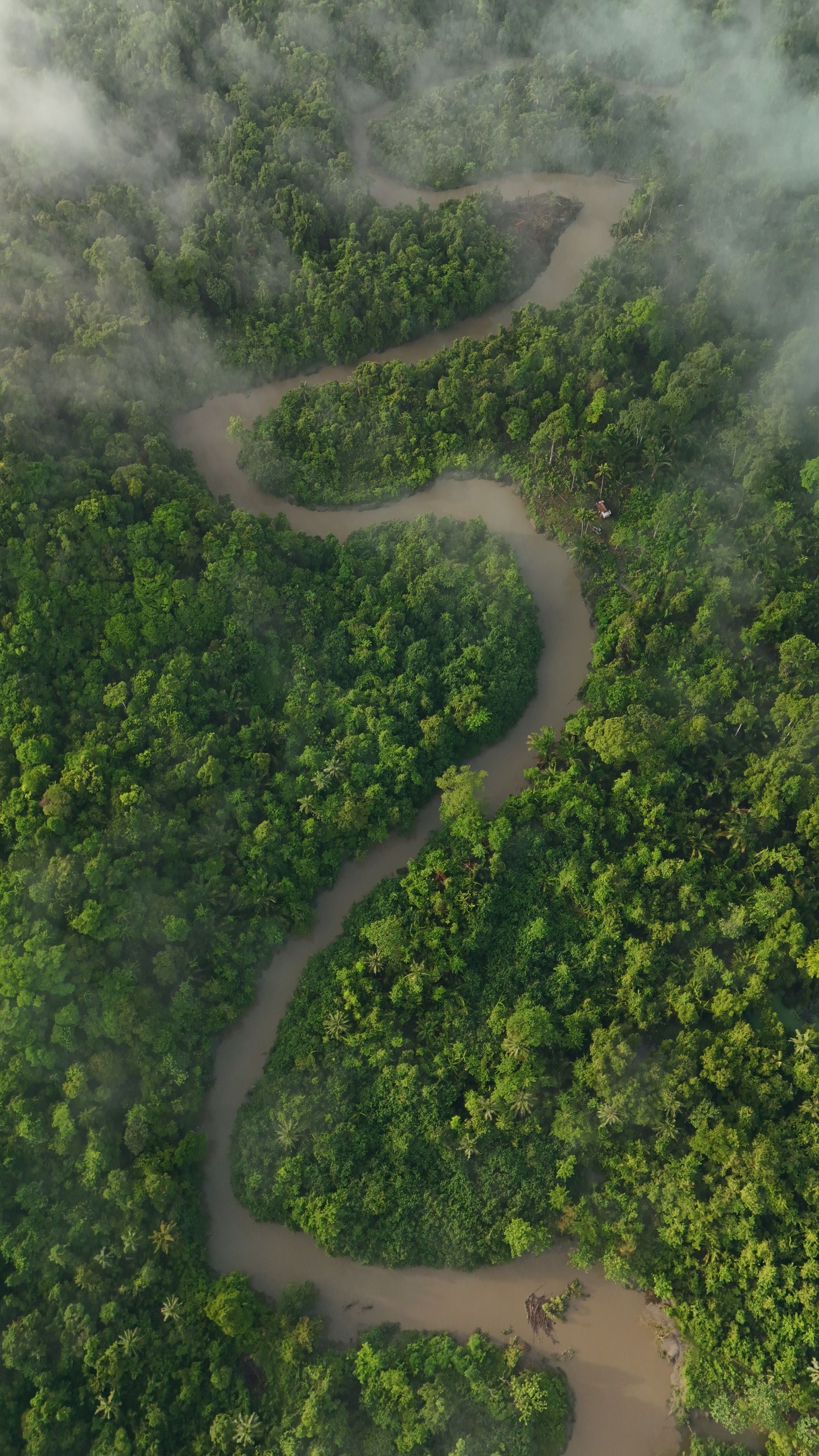 Gabon travel guide