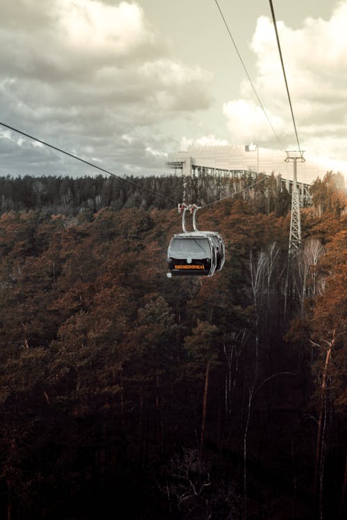 Free Cable Car in Forest Stock Photo