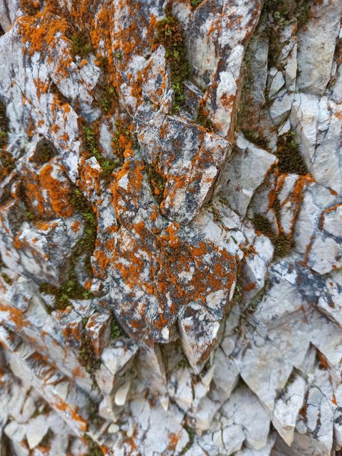 Free Detailed texture of orange lichen growing on jagged mountain rock showcasing vibrant natural patterns. Stock Photo