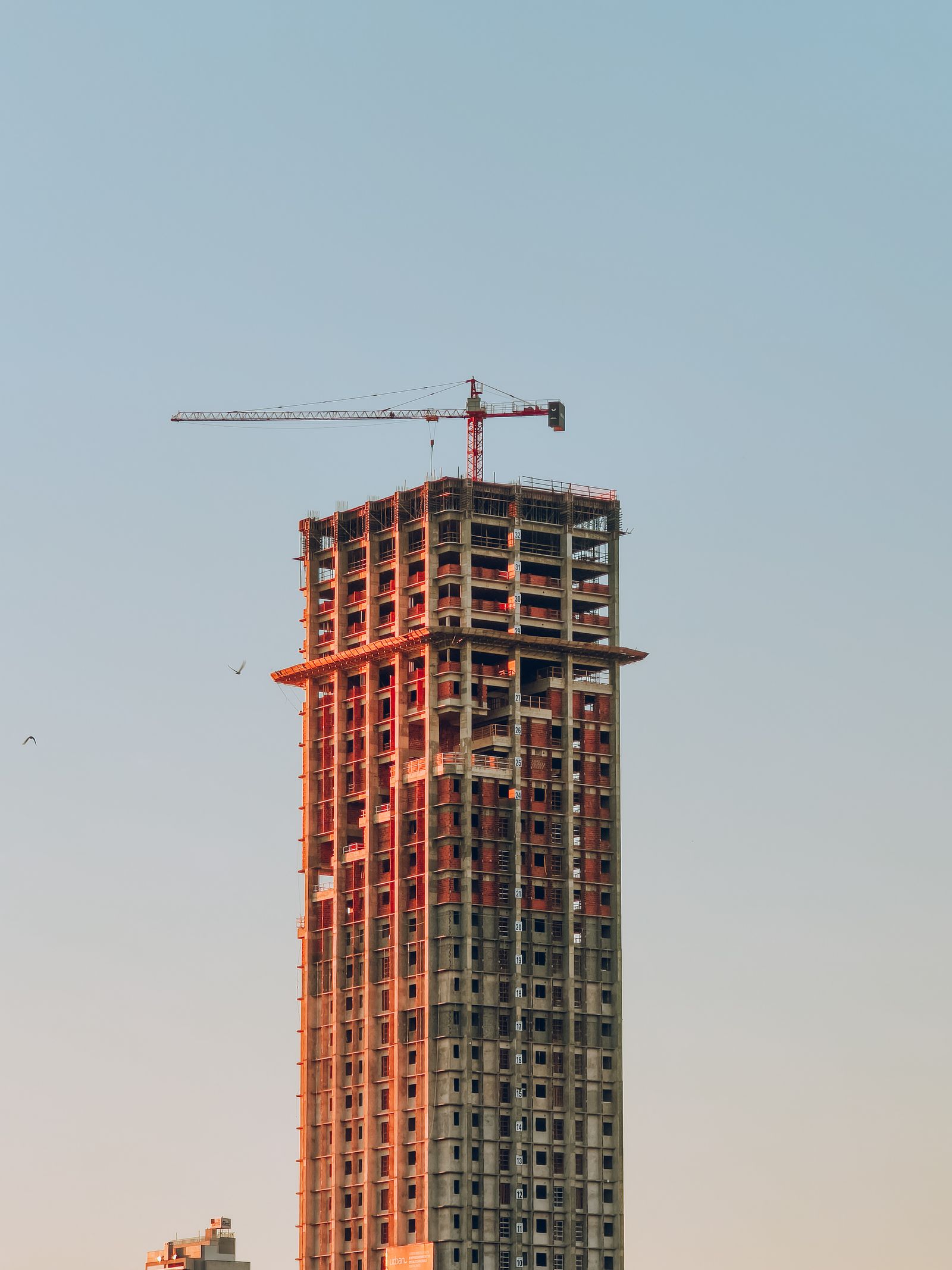 Crane Towering over Building Under Construction · Free Stock Photo