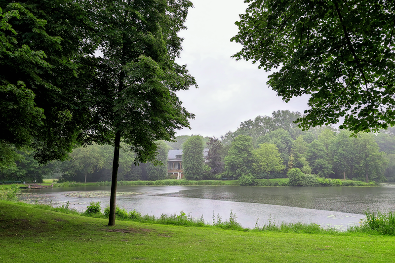 Peaceful park view with lush green trees surrounding a serene lake.