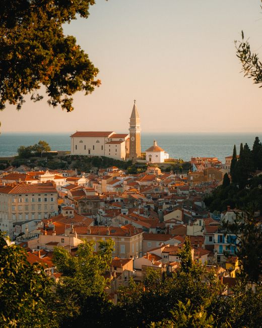 Overlooking the picturesque town of Piran, Slovenia, with the prominent Saint George's Cathedral and Adriatic Sea in the background.