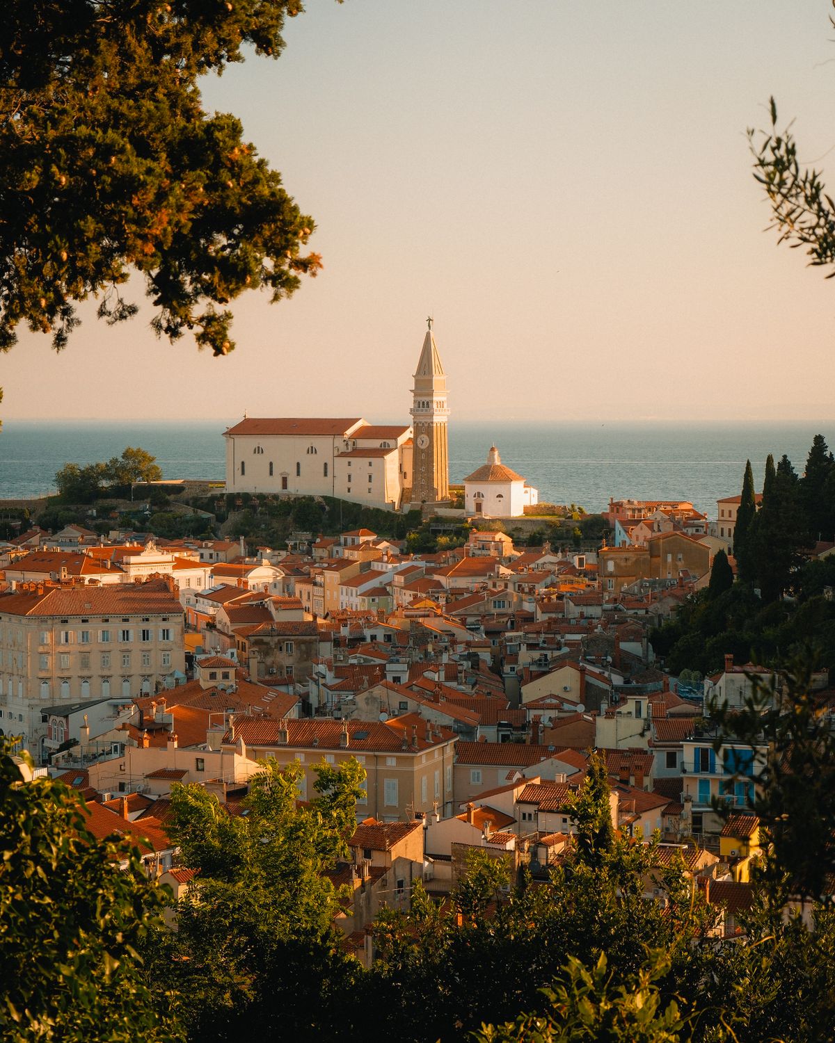Piran's red rooftops and St George's bell tower above the Adriatic