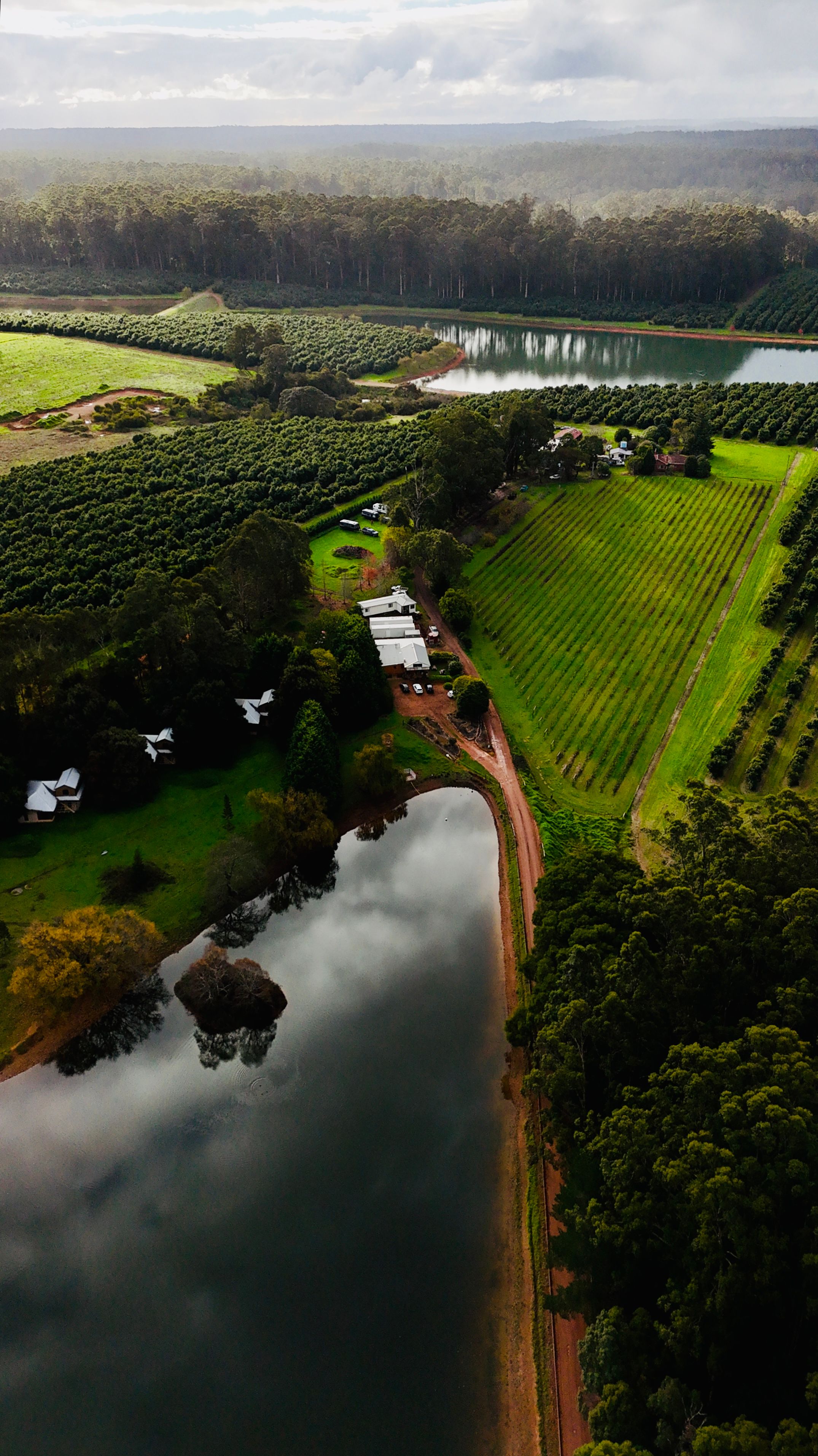 Aerial shot of lush farmland with river and forest in South West Australia.