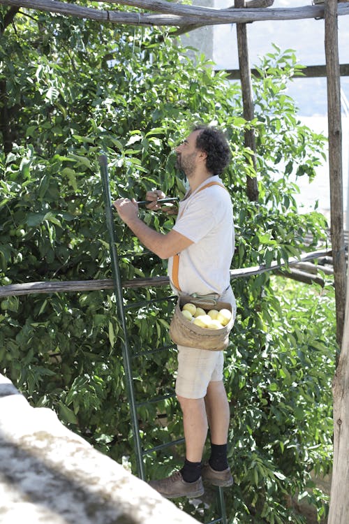 Photo of Man Climbing Using Ladder