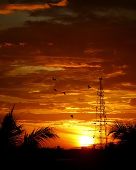 Stunning sunset over Sri Lankan landscape with tower silhouette and flying birds.