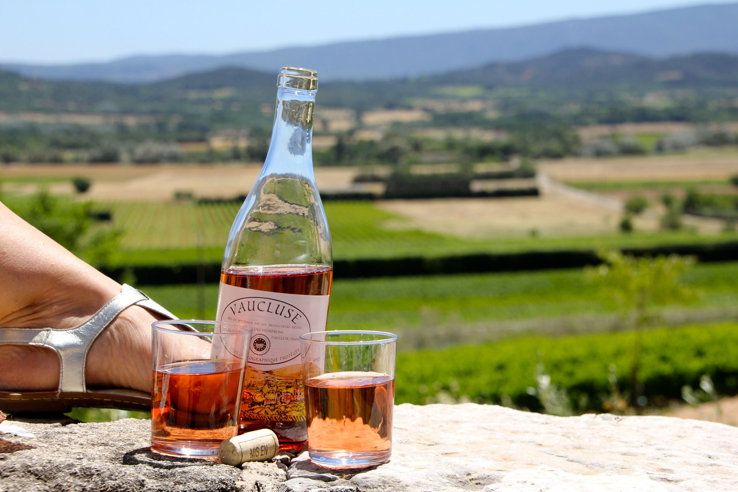 A chilled glass of pale rosé wine beside a vineyard landscape in Provence, France.
