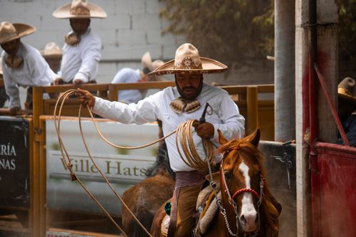 Free Charro in traditional attire performing with a lasso on horseback at a rodeo event. Stock Photo