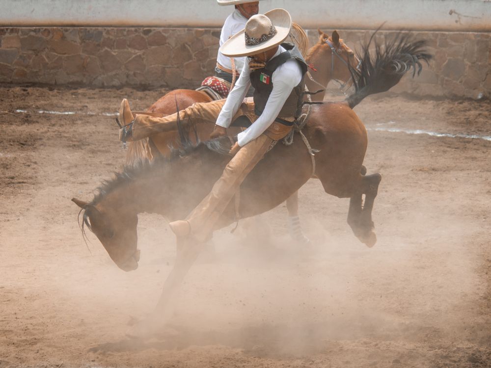 Espectáculo Tradicional Mexicano De Charros En Rodeo · Foto de stock ...