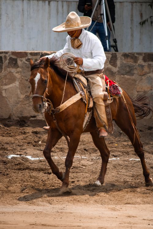 Free Charro in traditional clothing riding a horse at an outdoor rodeo event. Stock Photo