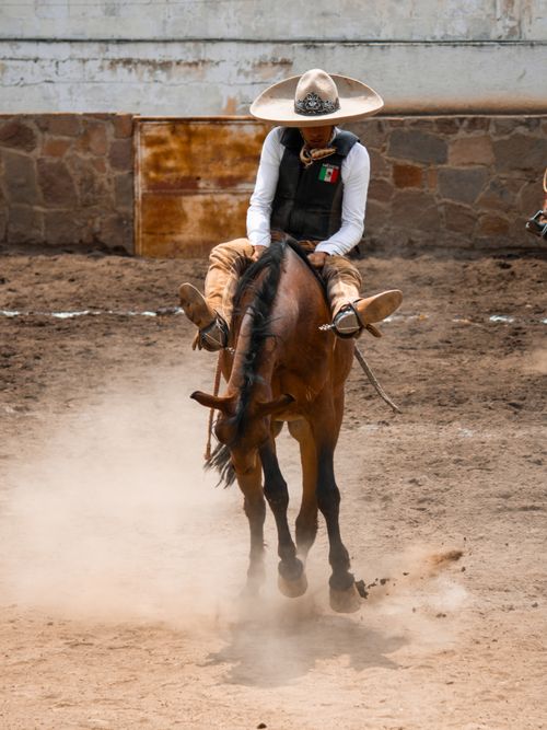 Free Cowboy in traditional attire rides a bucking horse in an outdoor arena, showcasing skill and tradition. Stock Photo