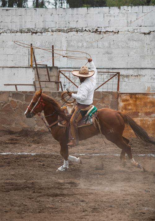 Free A skilled cowboy performing a lasso trick on horseback in a rodeo arena. Stock Photo