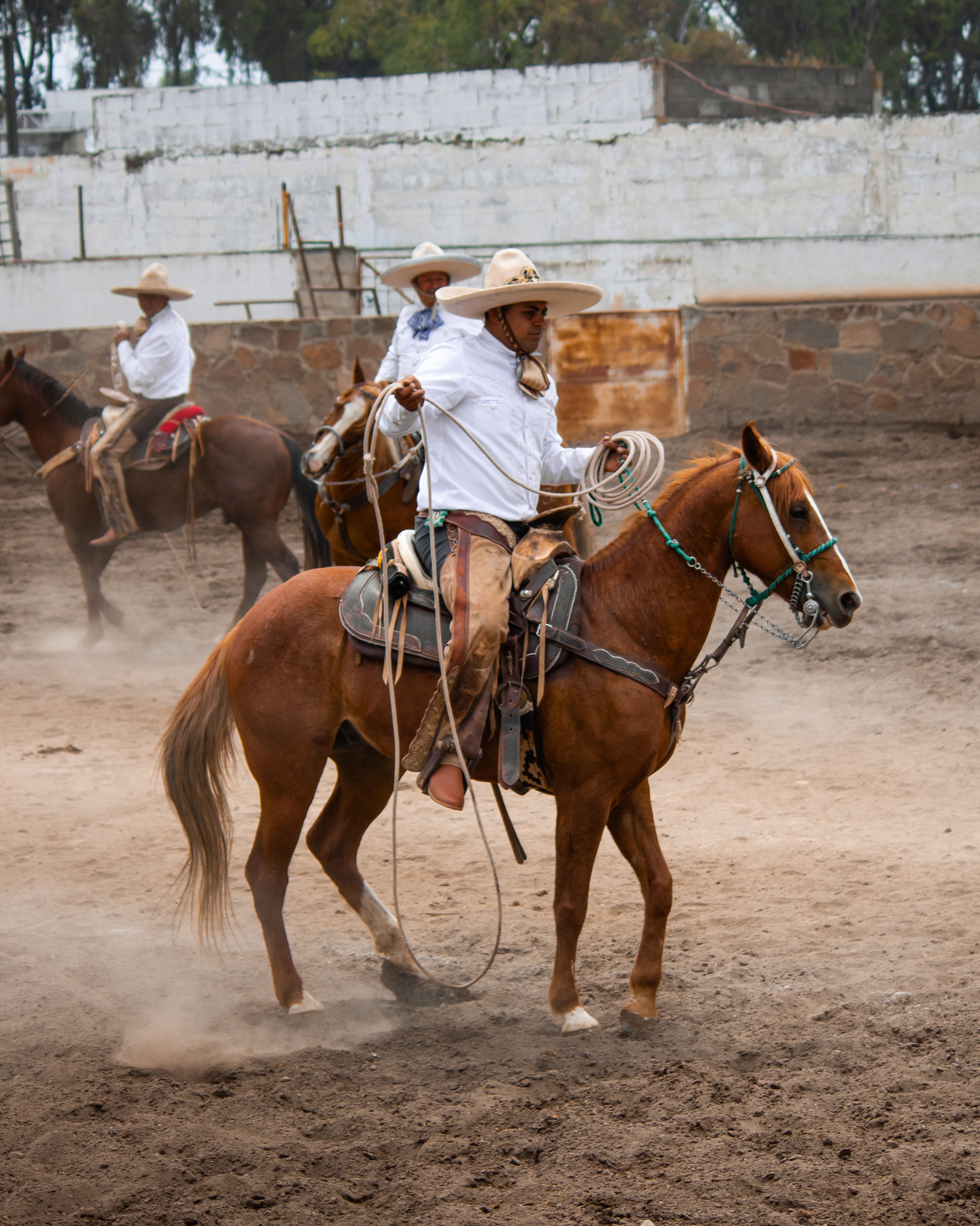 Traditional Mexican Charro Rodeo Scene · Free Stock Photo