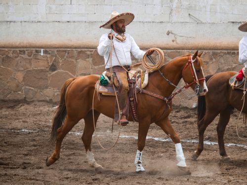 Free A charro proudly rides his horse during a traditional Mexican rodeo event, showcasing skill and culture. Stock Photo