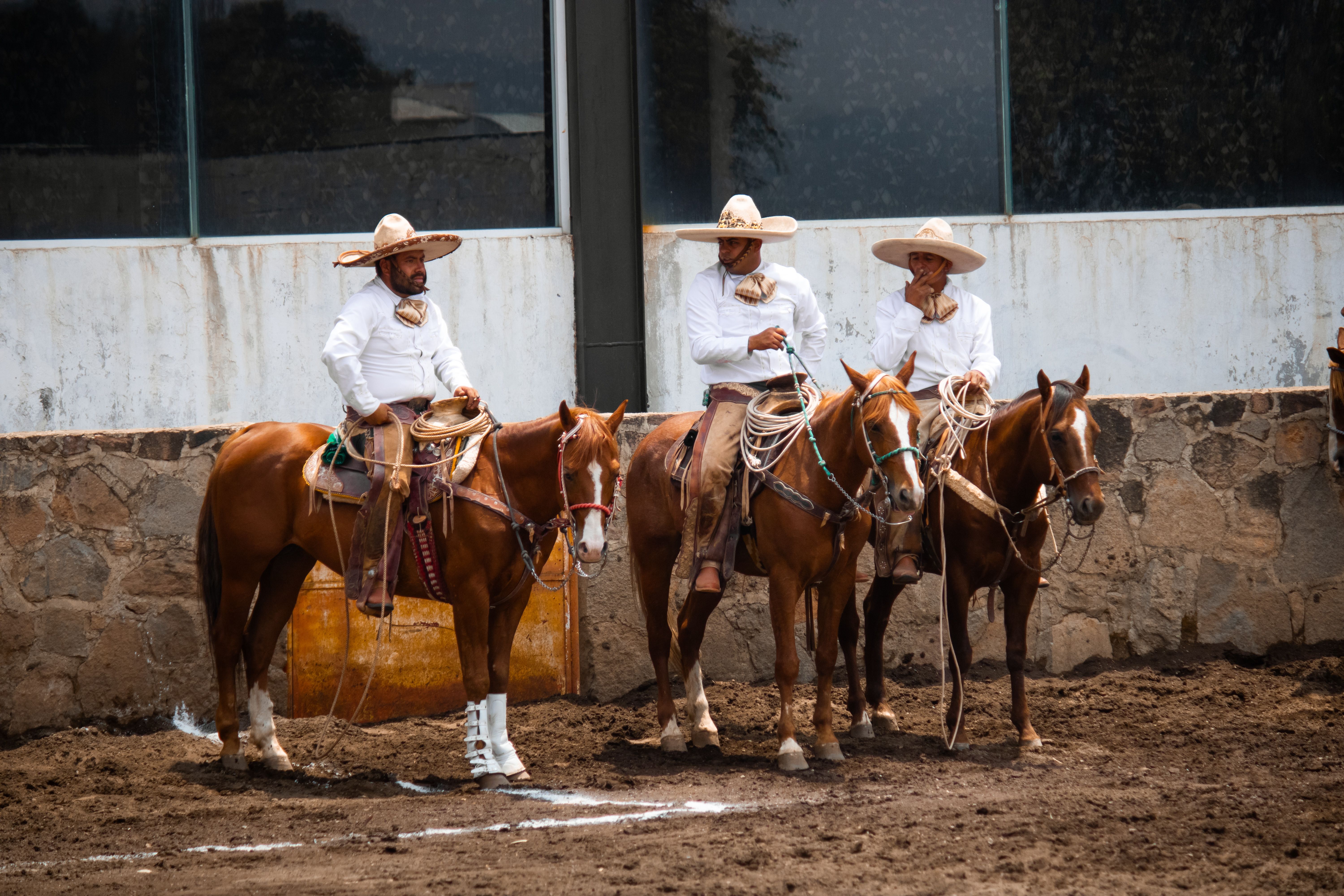 A group of people riding horses in an arena · Free Stock Photo