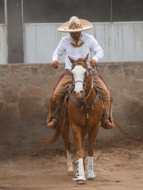 Free A charro in traditional attire riding a horse in an indoor arena setting. Stock Photo