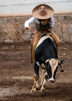 A dynamic action scene of a rodeo cowboy in traditional attire riding a bucking bull.