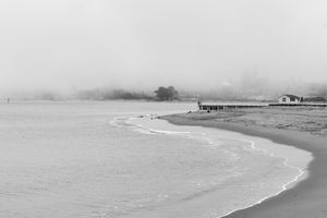 Misty shoreline in black and white — photo by Christopher Santiago on Pexels