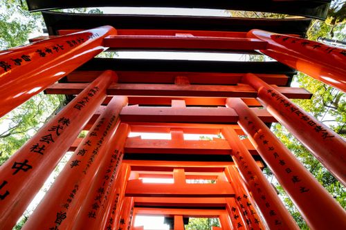 Free Colorful torii gates at Fushimi Inari Shrine in Kyoto, Japan, showcasing traditional Japanese architecture. Stock Photo