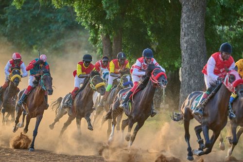 Free Exciting outdoor horse race with jockeys in vibrant attire in Zaria City, Nigeria. Stock Photo