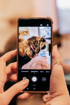 360° View 2K Pet Camera with Phone App, Indoor Security Camera, P2T Baby Monitor, Pan/Tilt, Motion & Sound Detection, Night Vision,Two-Way Audio, Works with Alexa | Pan/Tilt, Auto Tracking, AI Human/Motion/Sound Detection, Night Vision, 2-Way Audio, Custom Zones, Timer Cruise, Sleep Mode