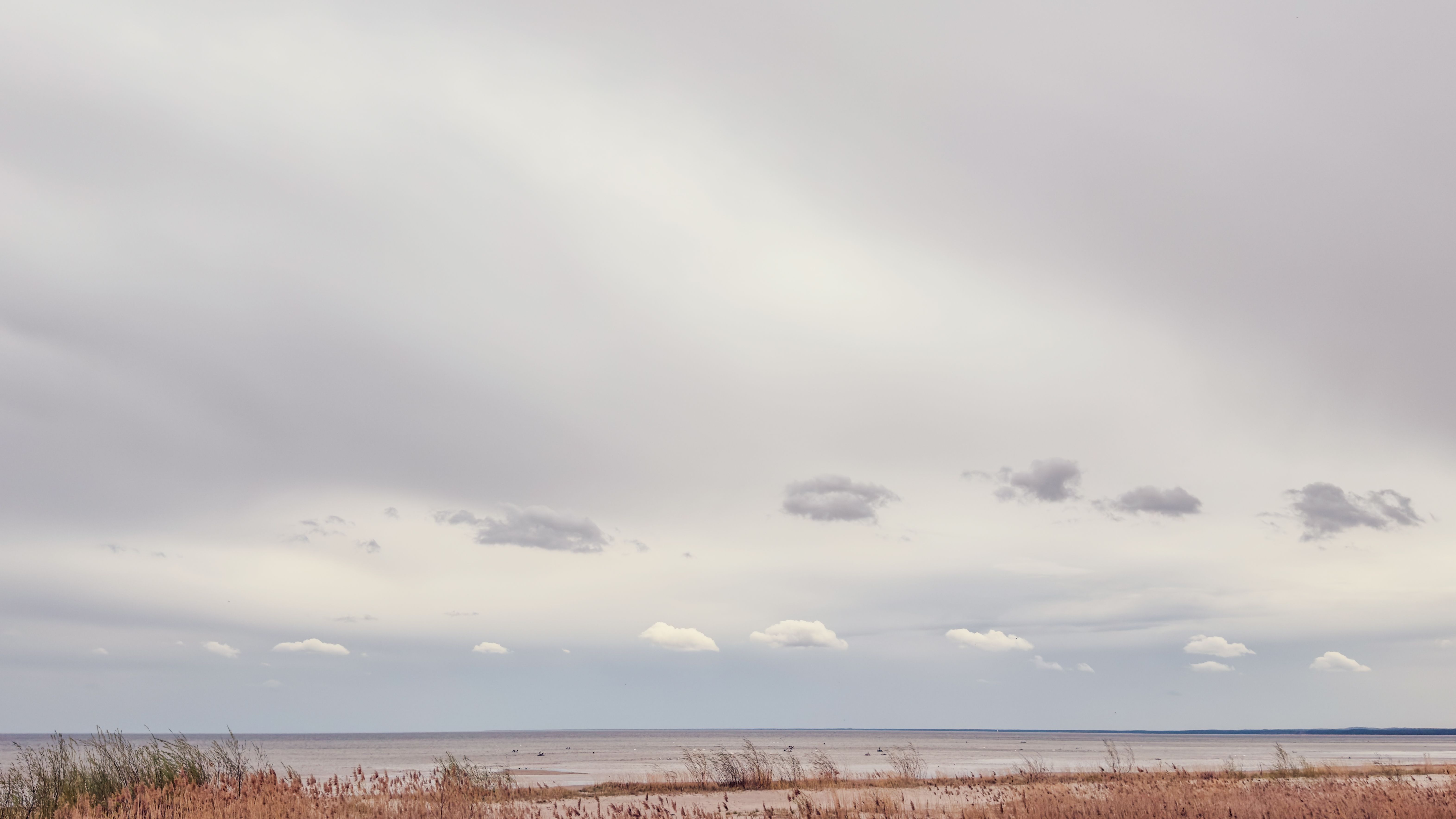 Küstenlandschaft an der Ostsee
