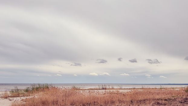 A serene seaside landscape showcasing the Baltic Sea's coastline with a cloudy sky and coastal grasses.