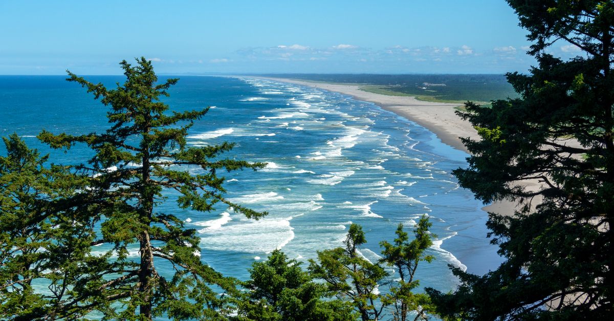 A breathtaking aerial view of the expansive Pacific Northwest coastline with lush green trees framing the scene.