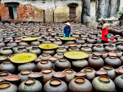 Free Two workers process soy sauce in large clay jars at a Vietnamese facility. Stock Photo