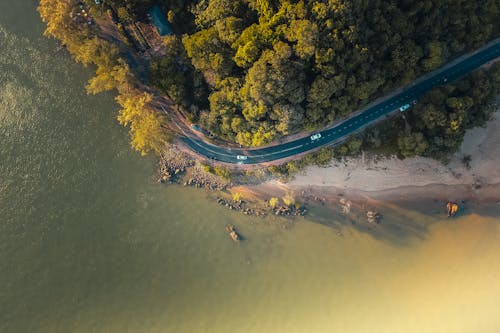 Free Aerial View of Green Trees and Road Beside Body of Water Stock Photo