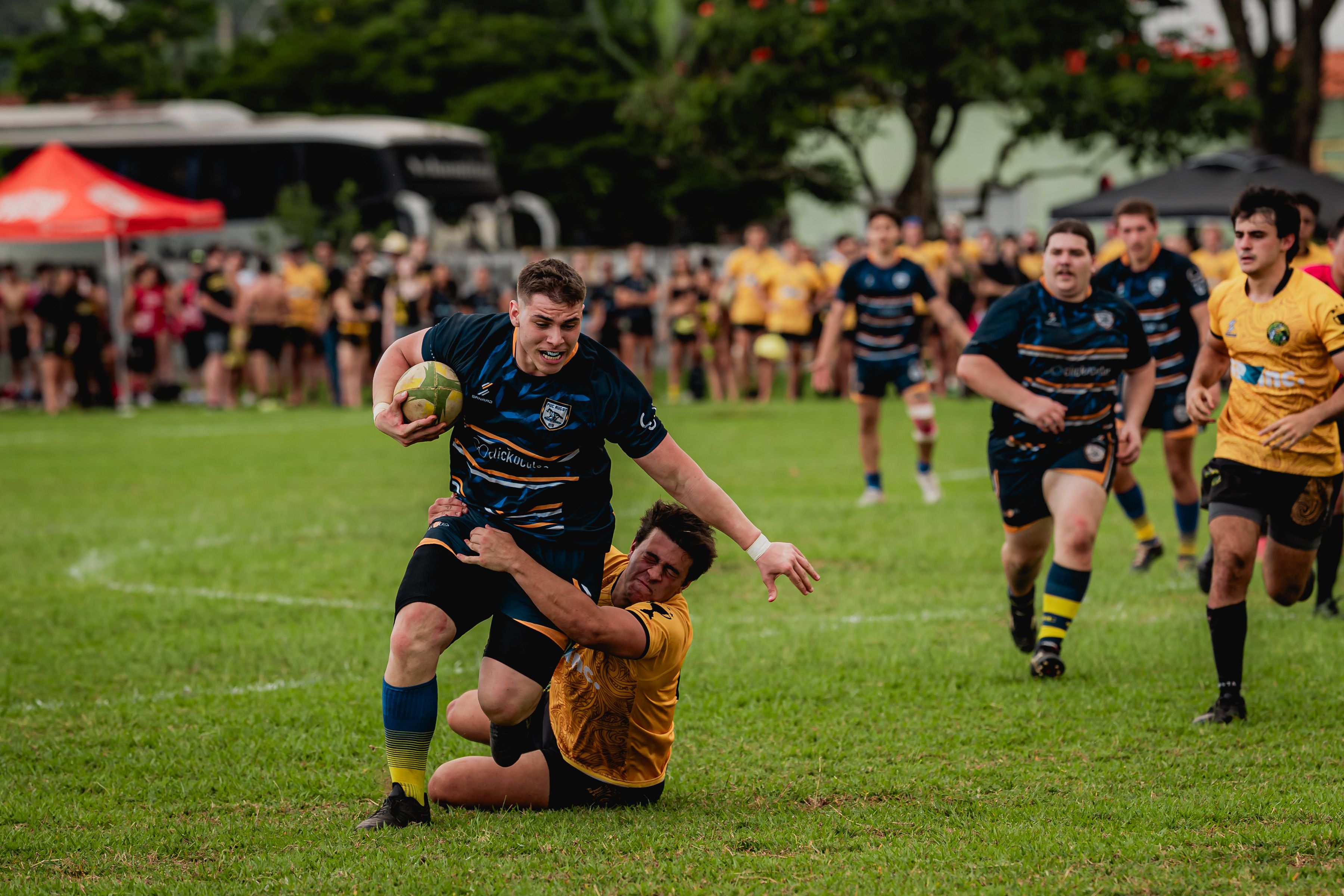 [圖片: NRL rugby league match stadium with crowd]