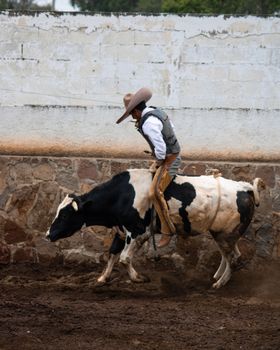 A cowboy skillfully rides a bull in a rodeo arena, showcasing his expertise and bravery.