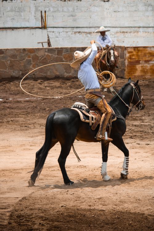 Free A traditional Mexican charro skillfully twirls a lasso while riding a black horse in an outdoor arena. Stock Photo
