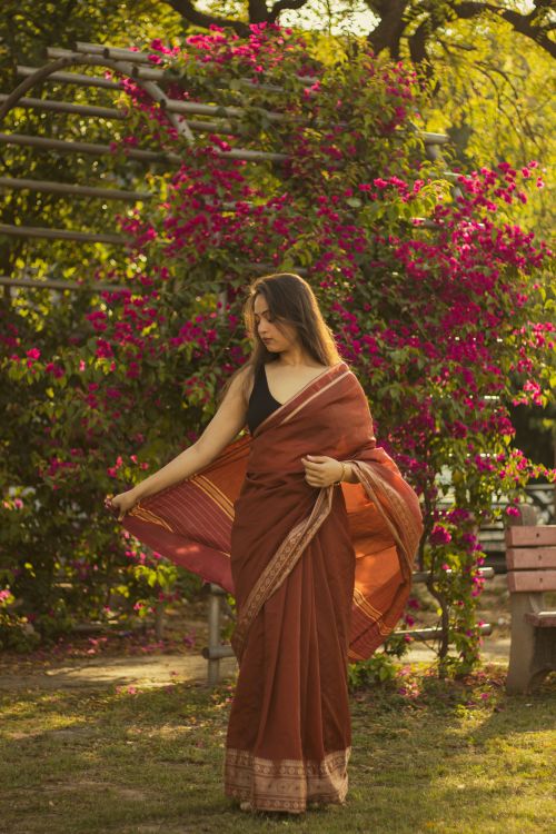 Free A woman in a traditional sari stands by blooming bougainvillea in a sunlit garden. Stock Photo