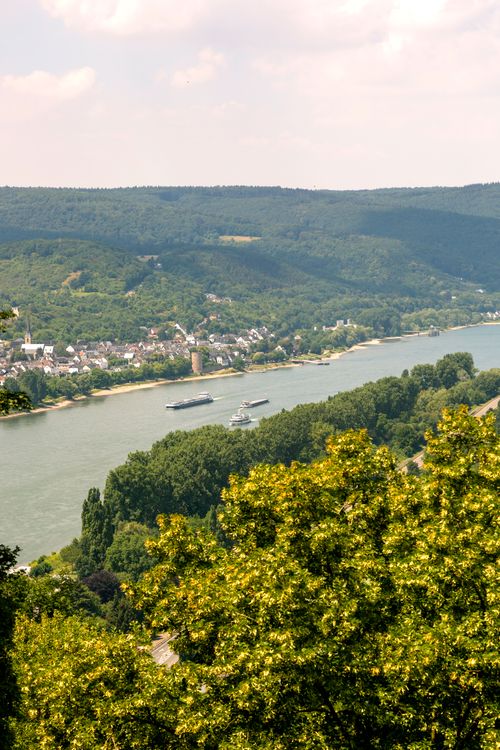 Free A picturesque landscape of the Rhine River with barges navigating through lush greenery and distant hills. Stock Photo